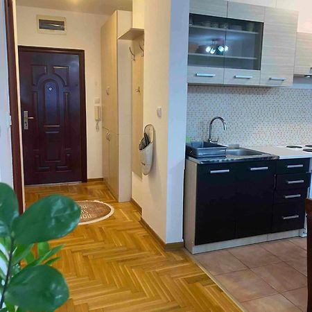 D Apartment Free Private Parking Fast Wi-Fi Novi Sad Exterior photo